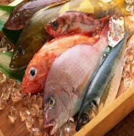 مصرف انواع غذاهای دریایی در دوران بارداری 